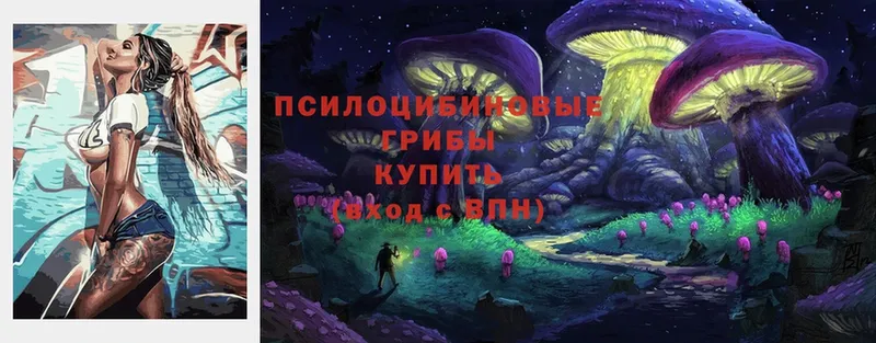 Галлюциногенные грибы Psilocybe  Ижевск 